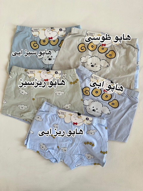 photo-output (9) شورت پسرانه 160 - Image 1